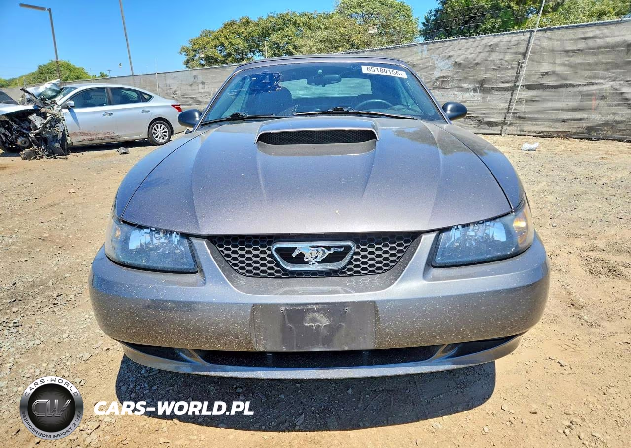2004 Ford Mustang Gt VIN:1FAFP45X94F193129 - 5