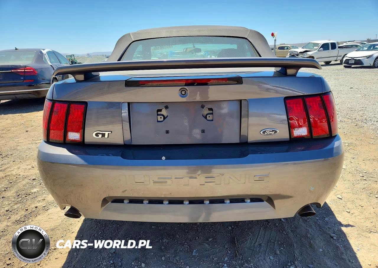2004 Ford Mustang Gt VIN:1FAFP45X94F193129 - 6