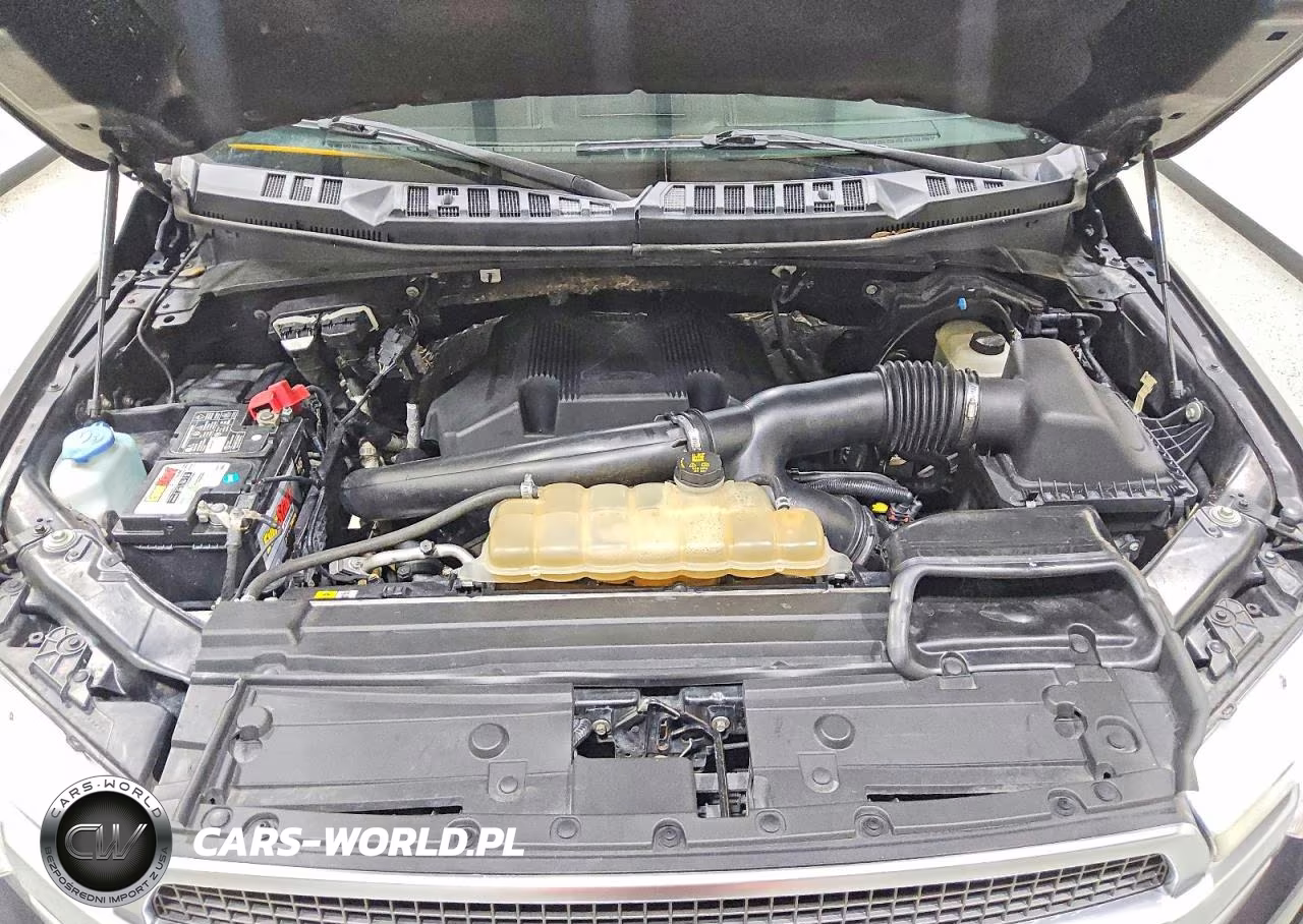 2019 Ford F150 Supercrew VIN:1FTEW1E45KFD09341 - 11