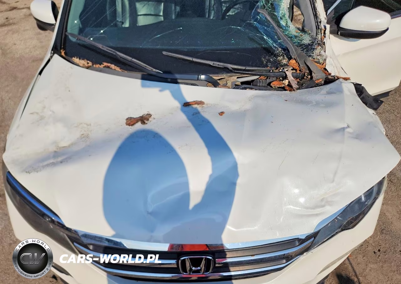 2017 Honda Pilot Exl VIN:5FNYF6H54HB094367 - 12