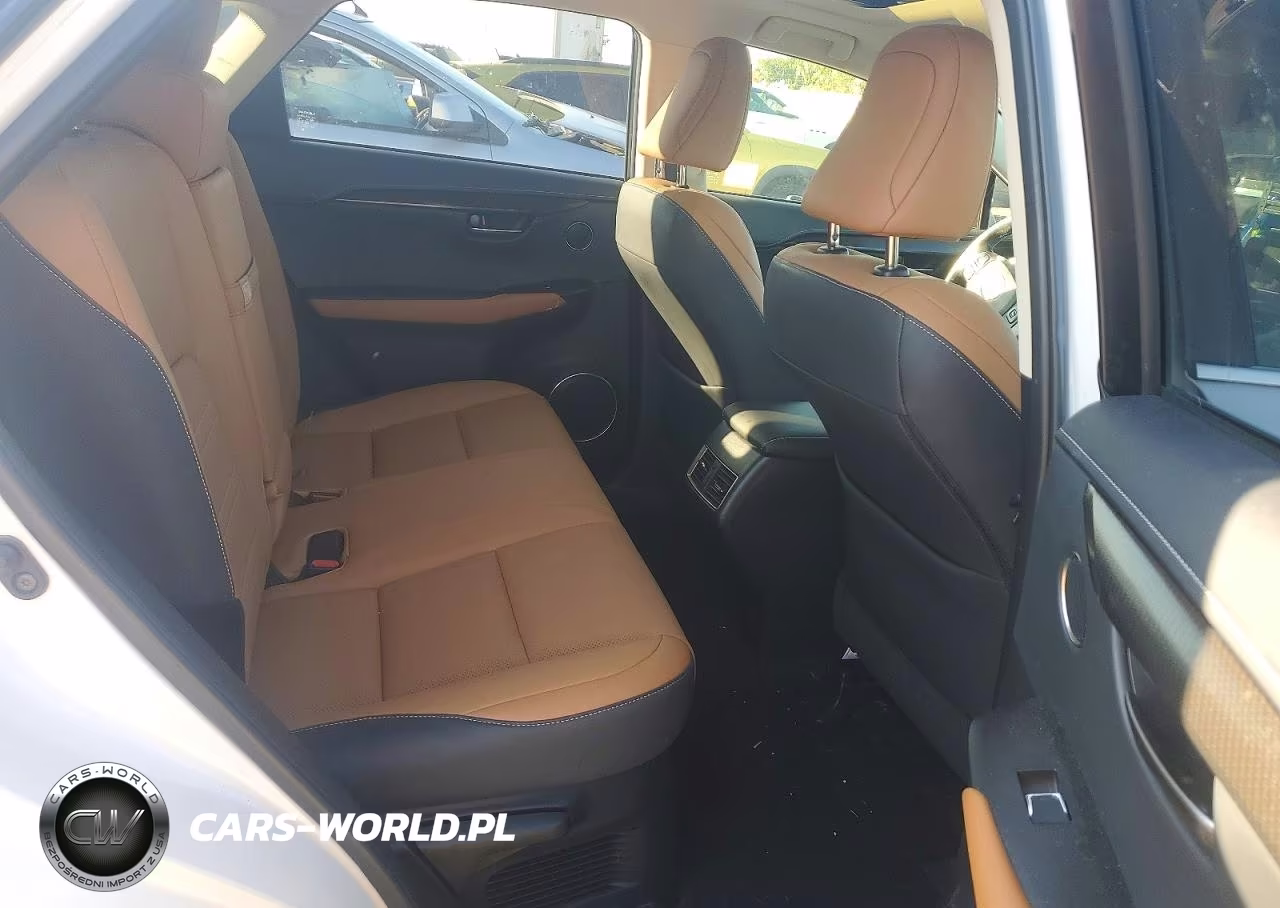 2020 Lexus Nx 300 VIN:JTJDARDZXL5009918 - 11
