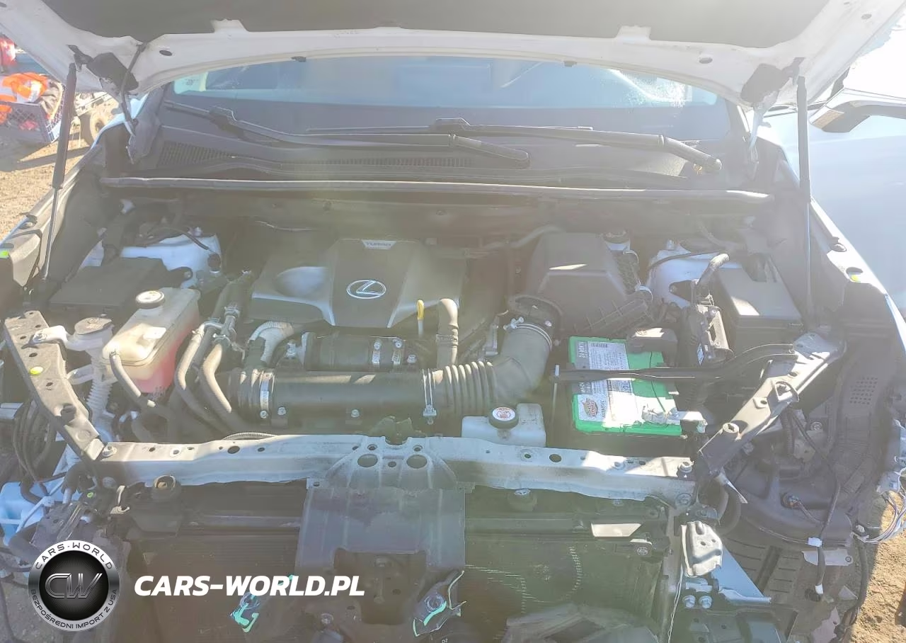 2020 Lexus Nx 300 VIN:JTJDARDZXL5009918 - 12