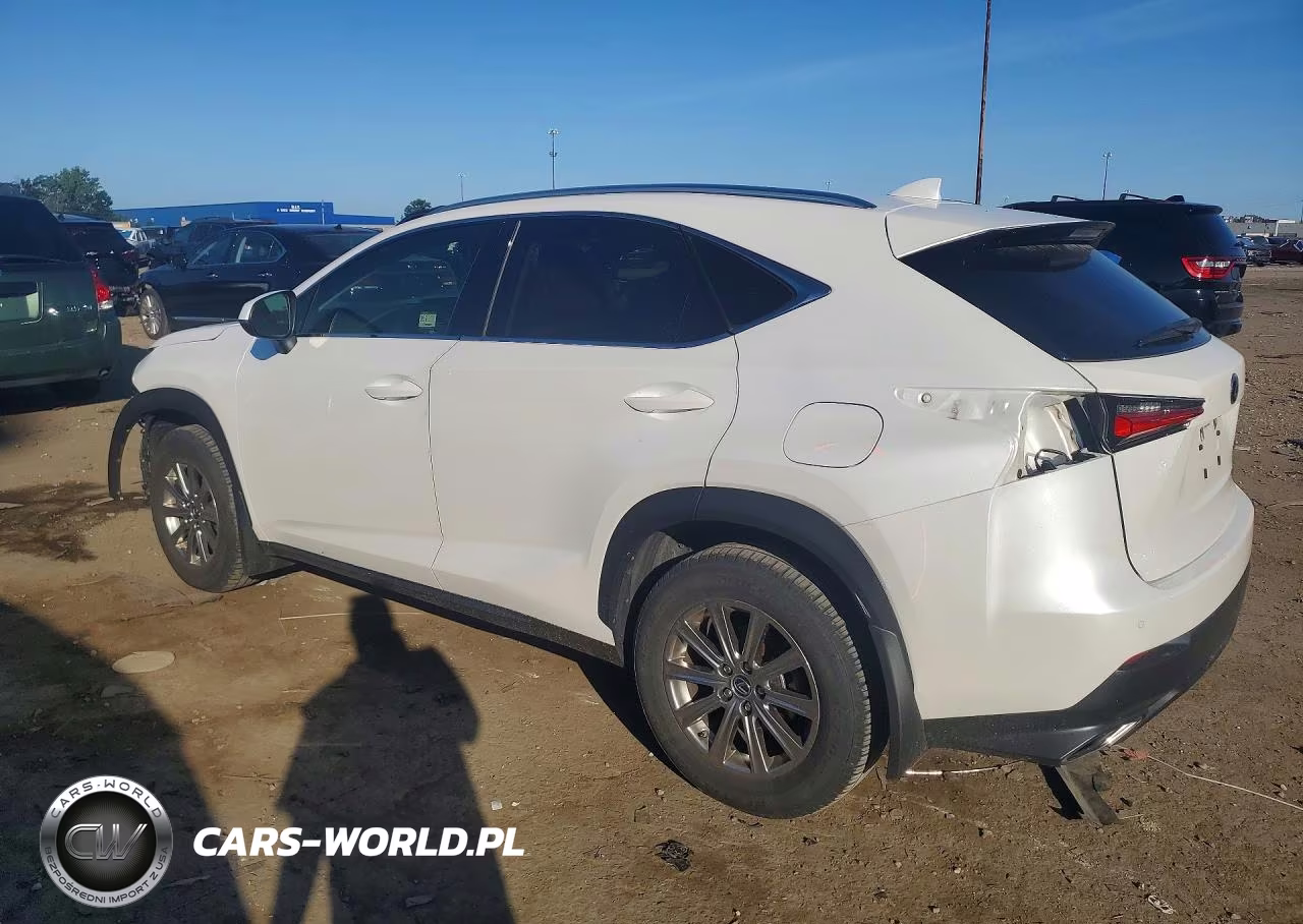 2020 Lexus Nx 300 VIN:JTJDARDZXL5009918 - 2