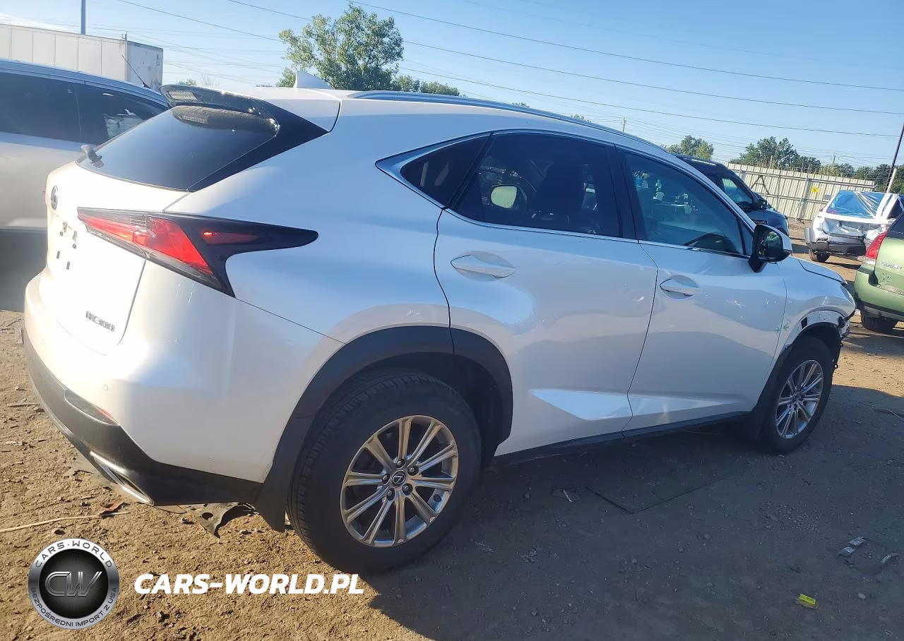 2020 Lexus Nx 300 VIN:JTJDARDZXL5009918 - 3