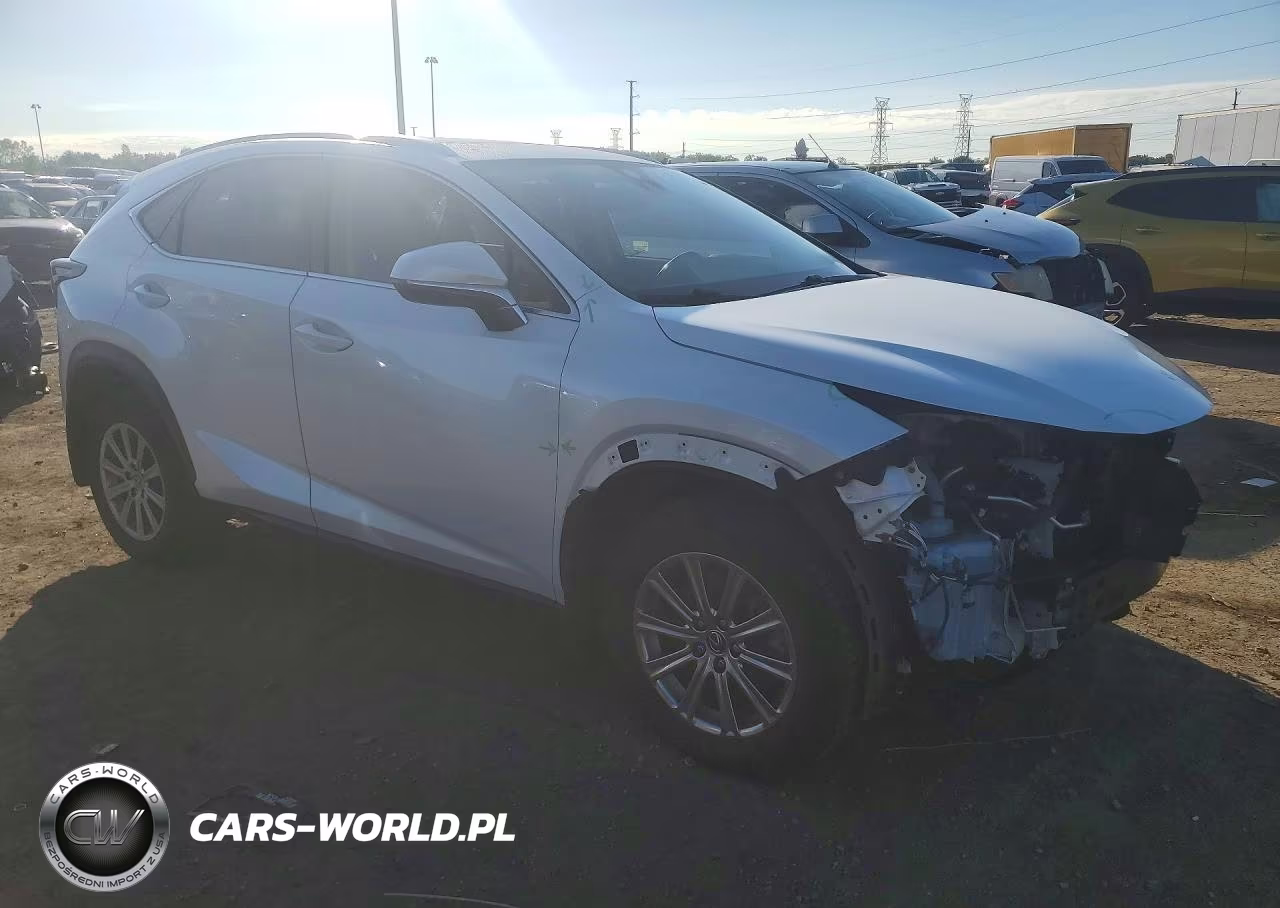 2020 Lexus Nx 300 VIN:JTJDARDZXL5009918 - 4