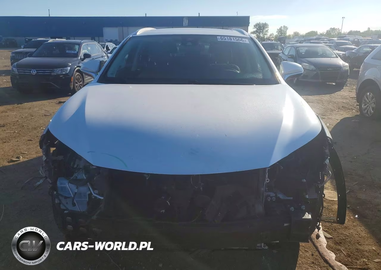 2020 Lexus Nx 300 VIN:JTJDARDZXL5009918 - 5