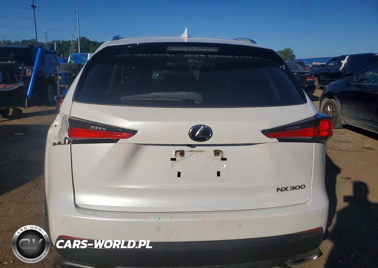 2020 Lexus Nx 300 VIN:JTJDARDZXL5009918 - 6