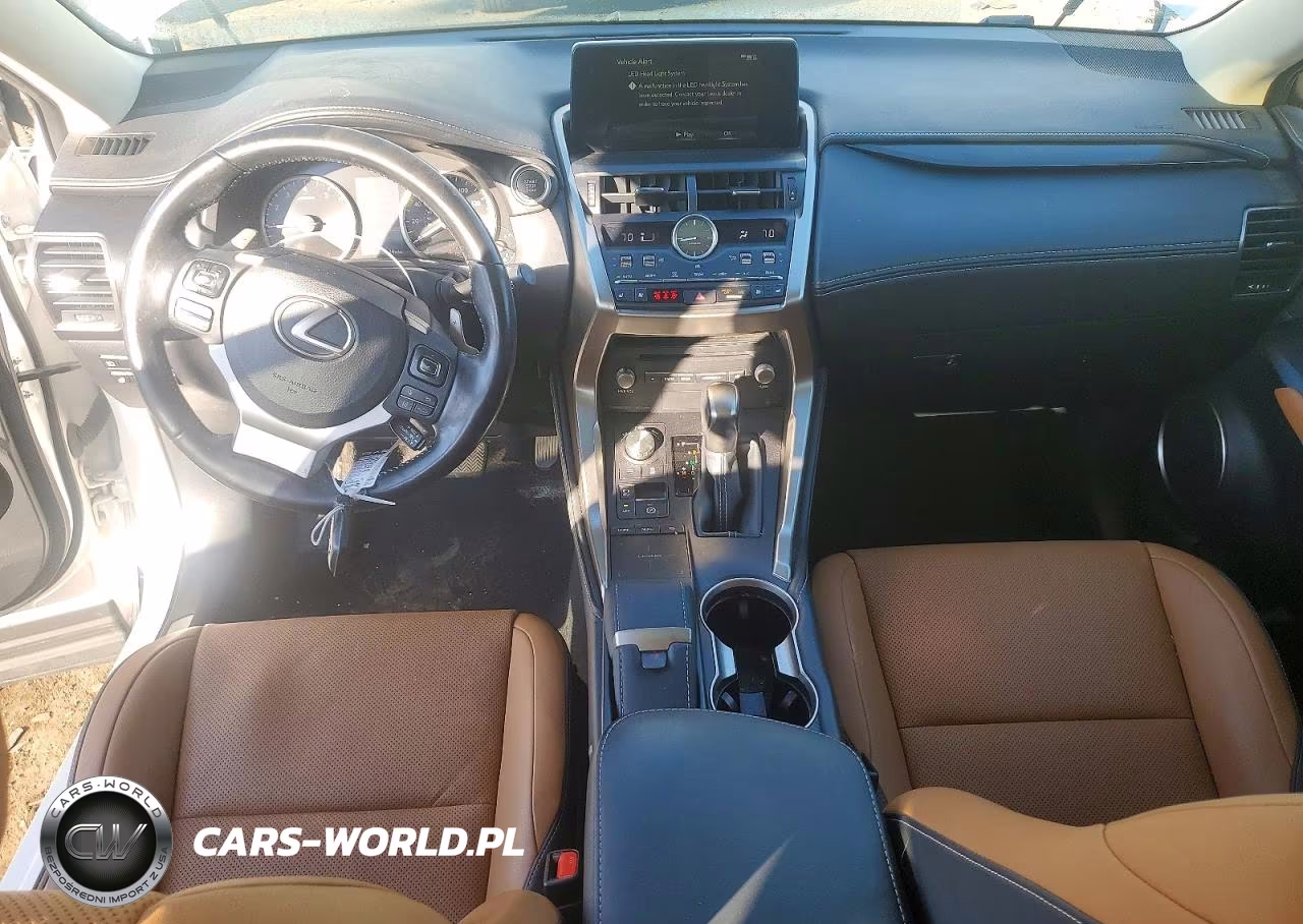 2020 Lexus Nx 300 VIN:JTJDARDZXL5009918 - 8