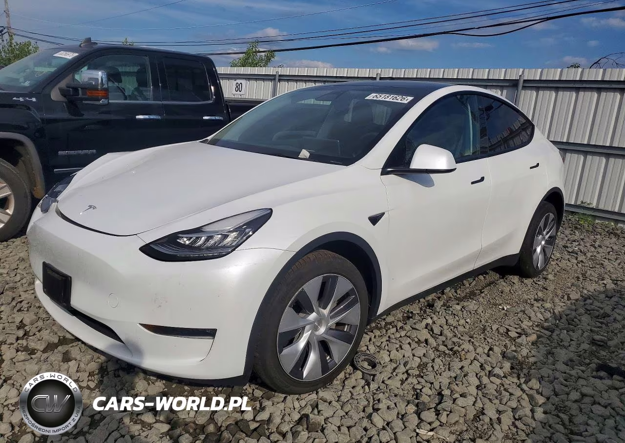 2023 Tesla Model Y VIN:7SAYGDEE3PA115519 - 1