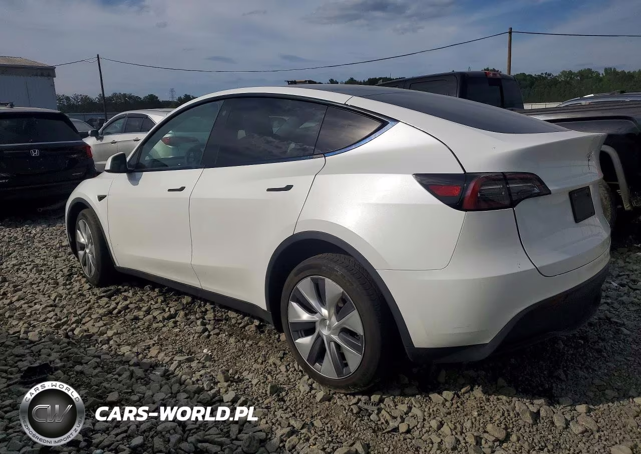 2023 Tesla Model Y VIN:7SAYGDEE3PA115519 - 2