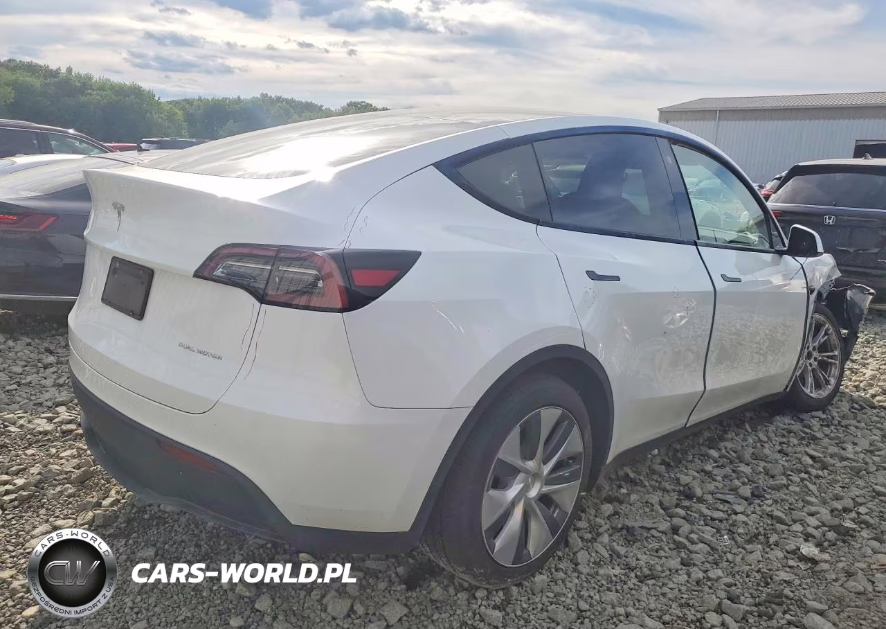 2023 Tesla Model Y VIN:7SAYGDEE3PA115519 - 3