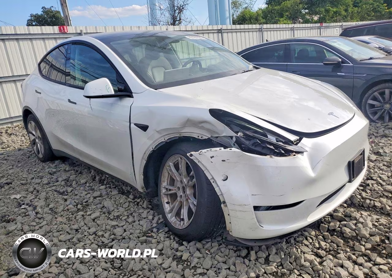 2023 Tesla Model Y VIN:7SAYGDEE3PA115519 - 4