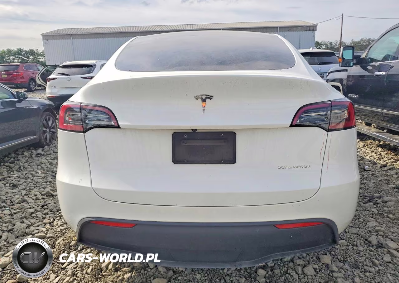 2023 Tesla Model Y VIN:7SAYGDEE3PA115519 - 6