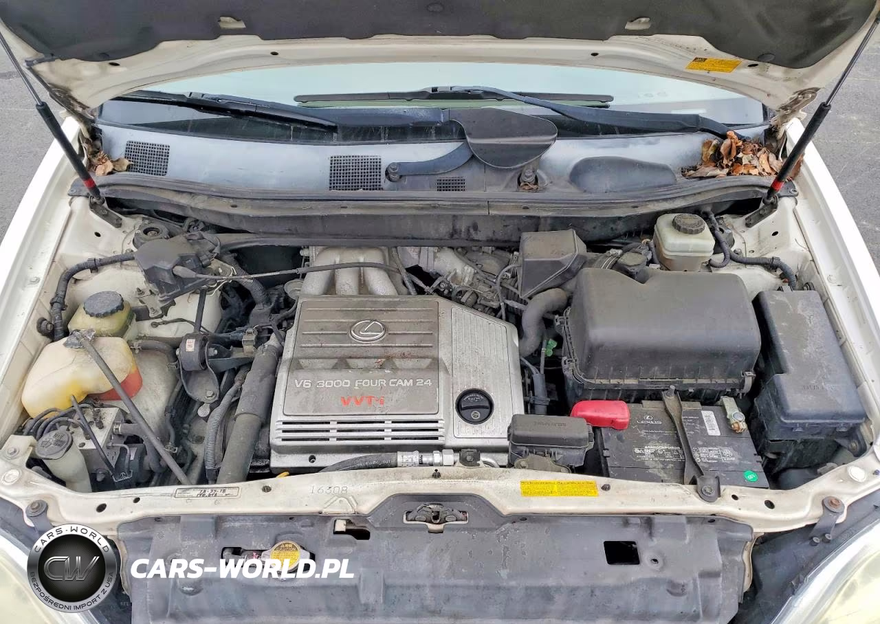 2002 Lexus Rx 300 VIN:JTJHF10U020278388 - 11
