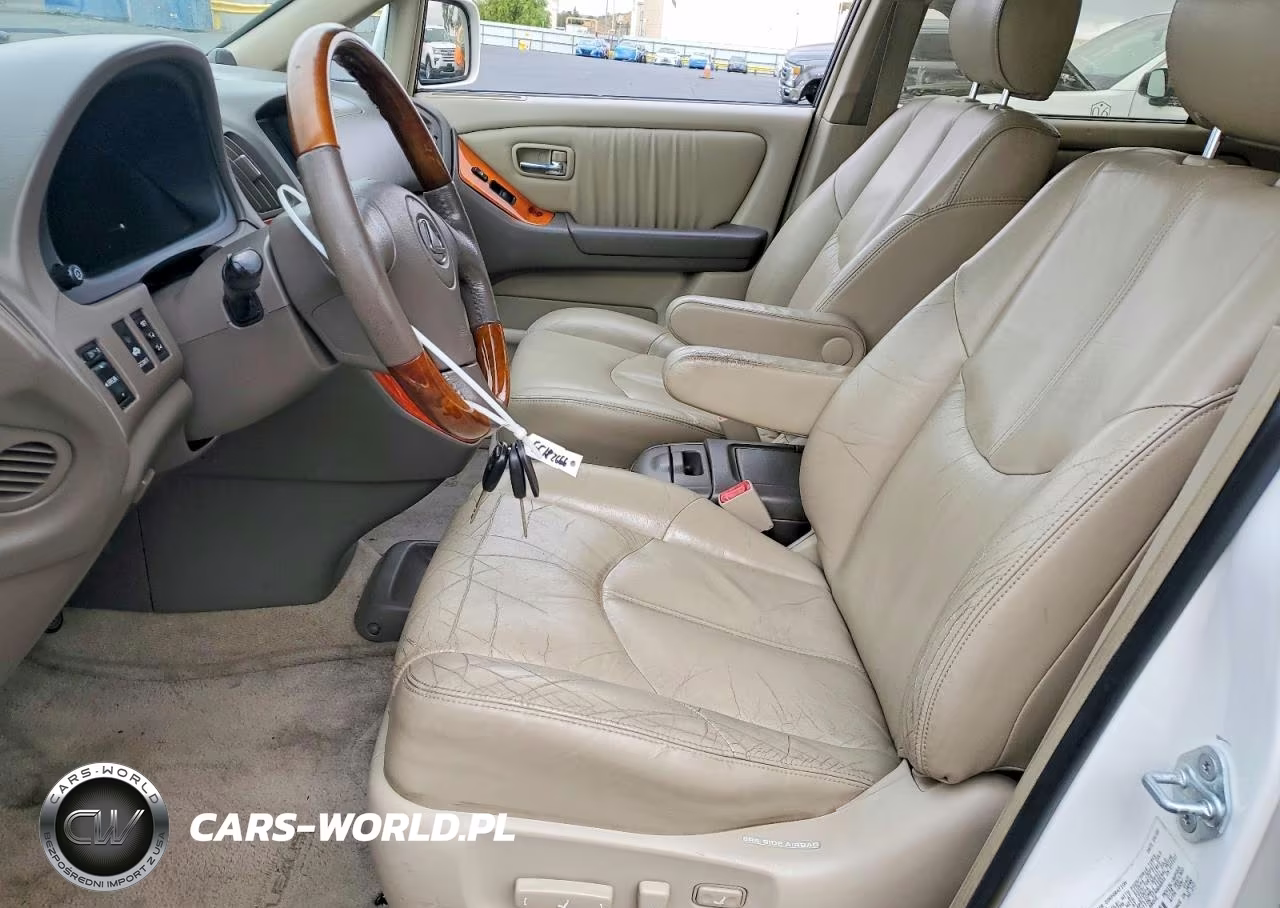 2002 Lexus Rx 300 VIN:JTJHF10U020278388 - 7