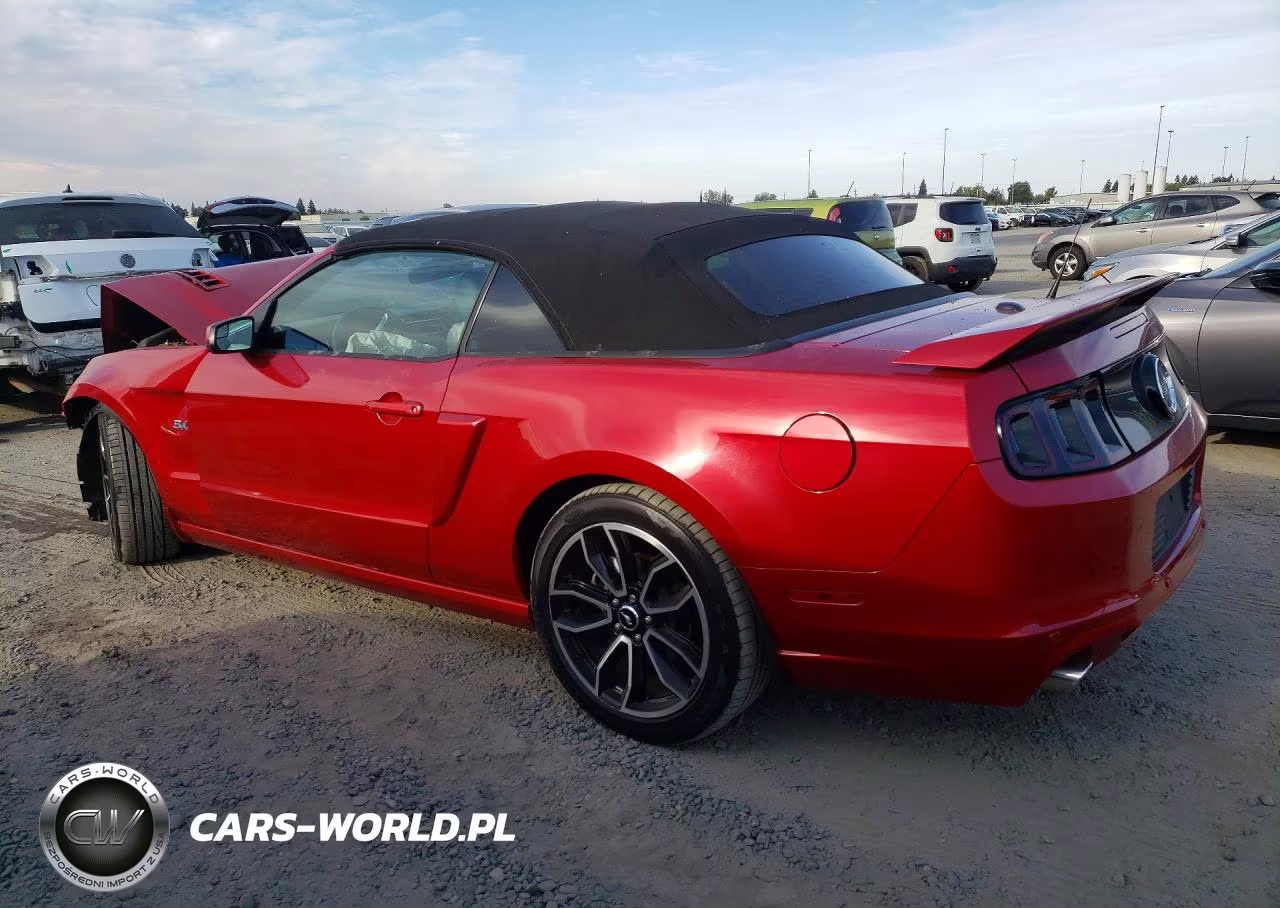 2013 Ford Mustang Gt VIN:1ZVBP8FF9D5232701 - 2