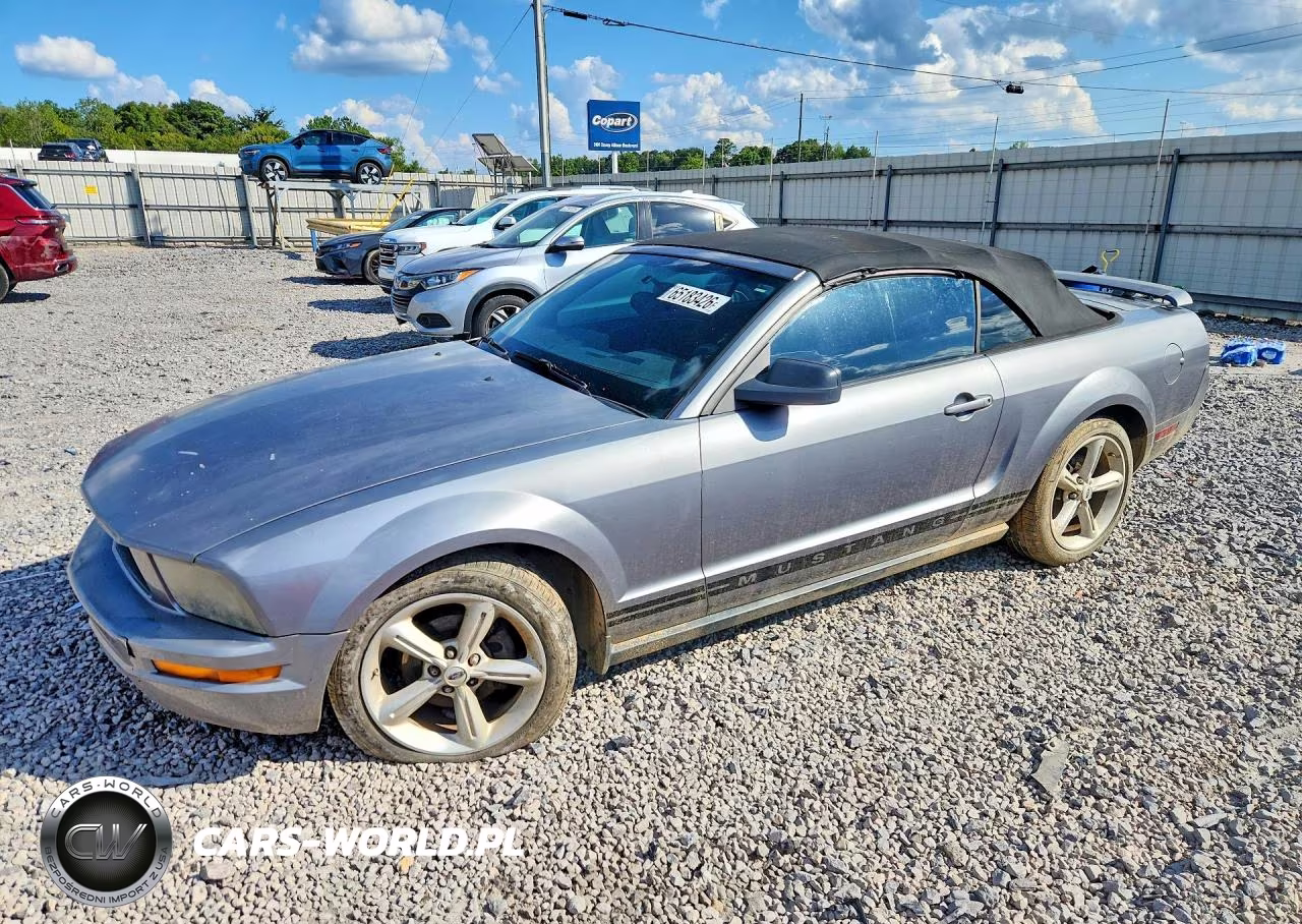 2006 Ford Mustang VIN:1ZVFT84N365138453 - 1
