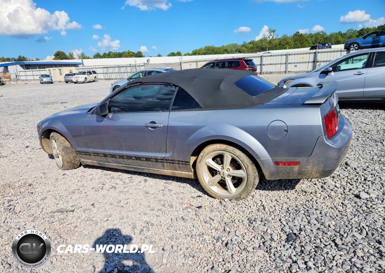 2006 Ford Mustang VIN:1ZVFT84N365138453 - 2