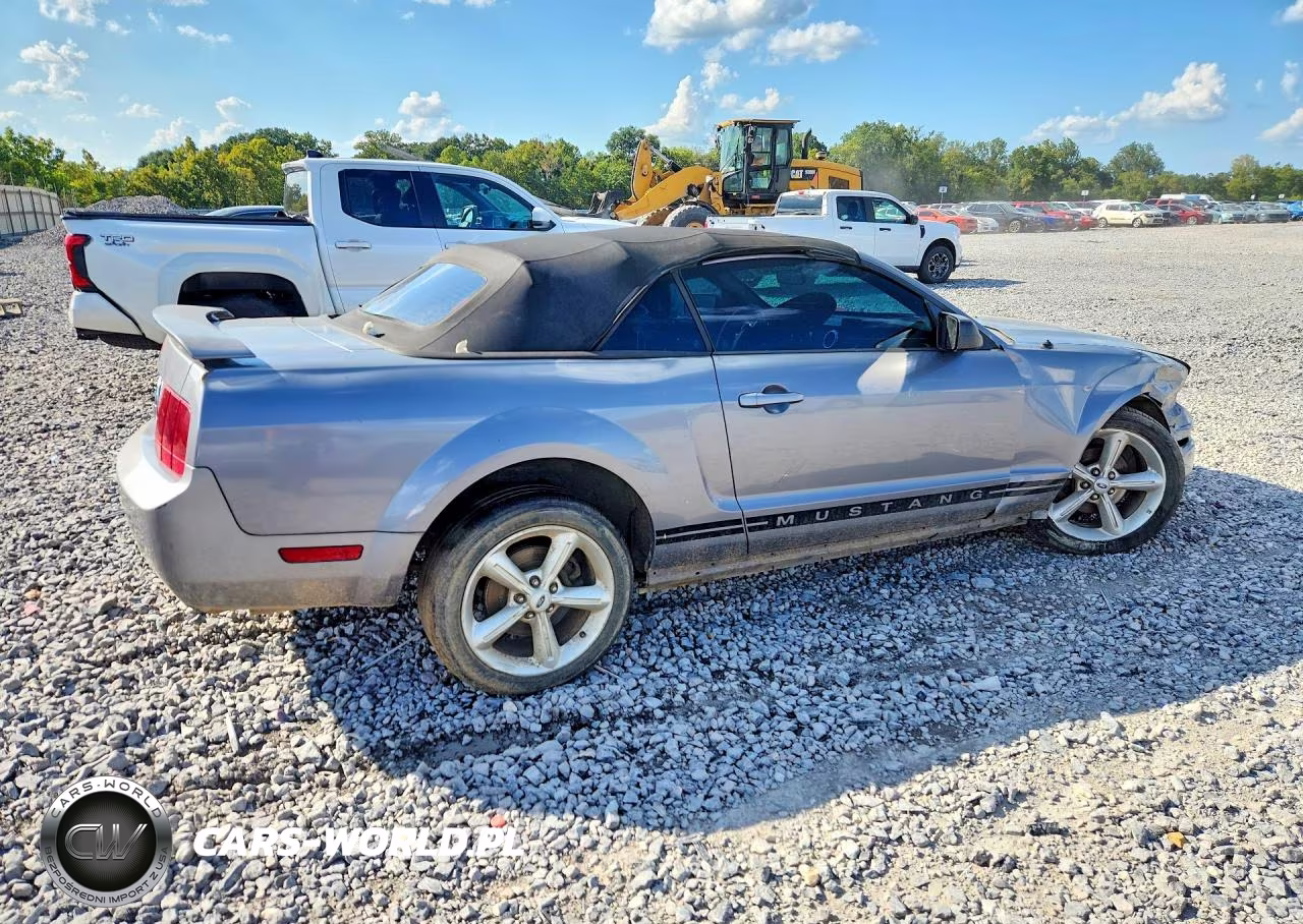 2006 Ford Mustang VIN:1ZVFT84N365138453 - 3