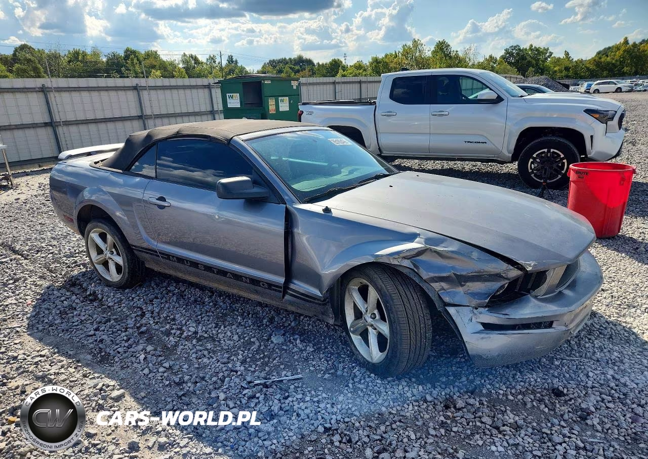 2006 Ford Mustang VIN:1ZVFT84N365138453 - 4