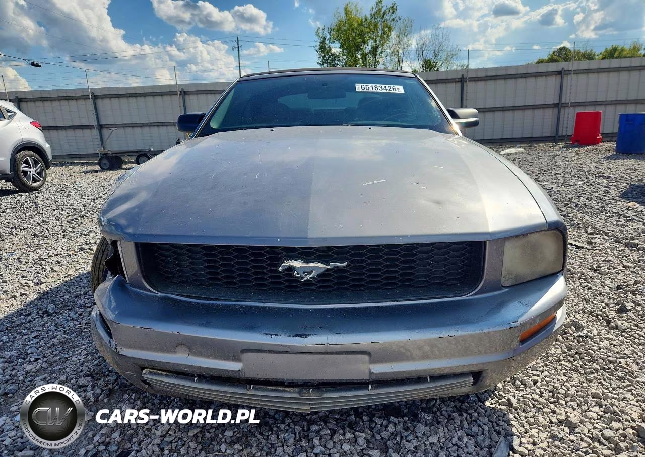 2006 Ford Mustang VIN:1ZVFT84N365138453 - 5