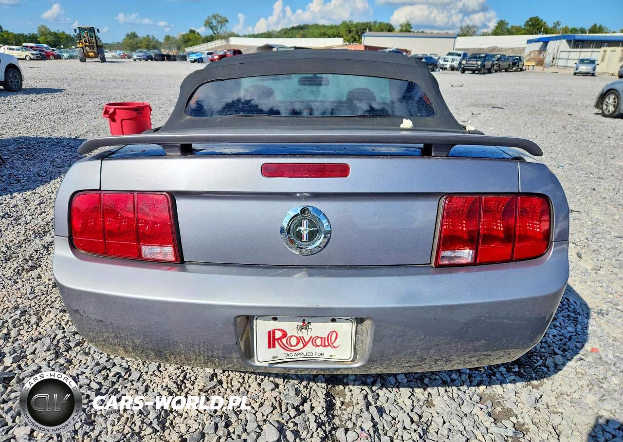 2006 Ford Mustang VIN:1ZVFT84N365138453 - 6