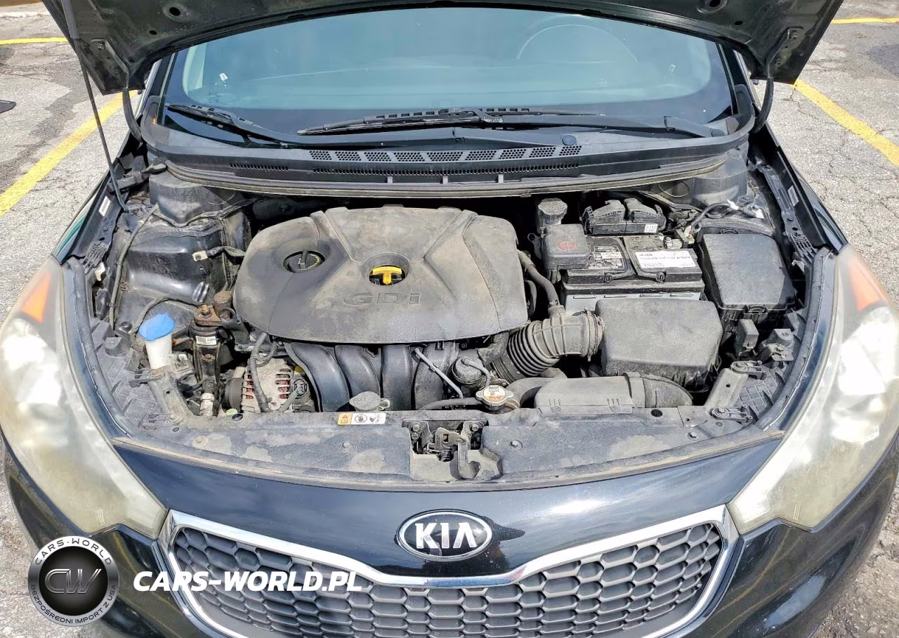 2015 Kia Forte Ex VIN:KNAFZ4A86F5342413 - 11