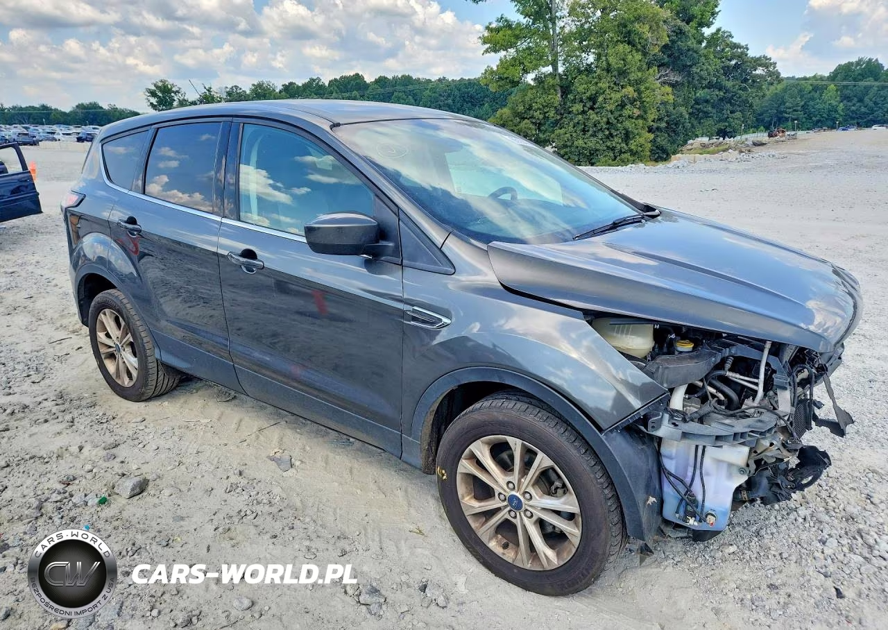 2017 Ford Escape Se VIN:1FMCU0GDXHUD09825 - 4
