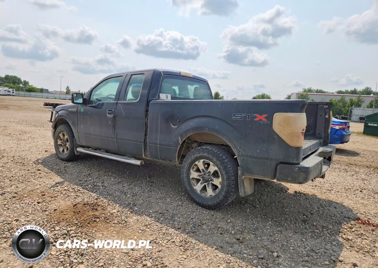 2013 Ford F150 Super Cab VIN:1FTFX1EF9DFA38595 - 2