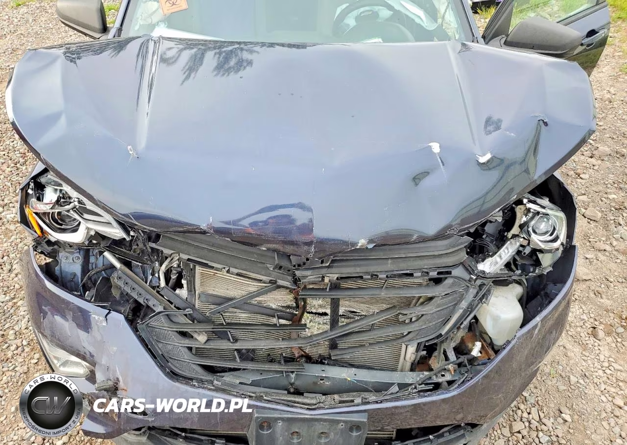 2019 Chevrolet Equinox Ls VIN:3GNAXSEV1KL280203 - 12