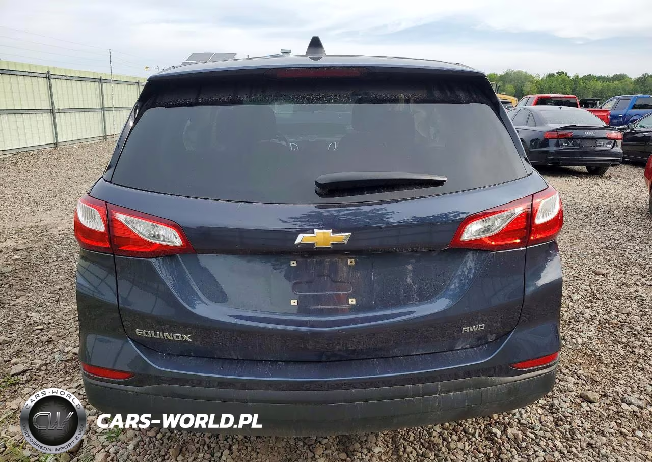 2019 Chevrolet Equinox Ls VIN:3GNAXSEV1KL280203 - 6