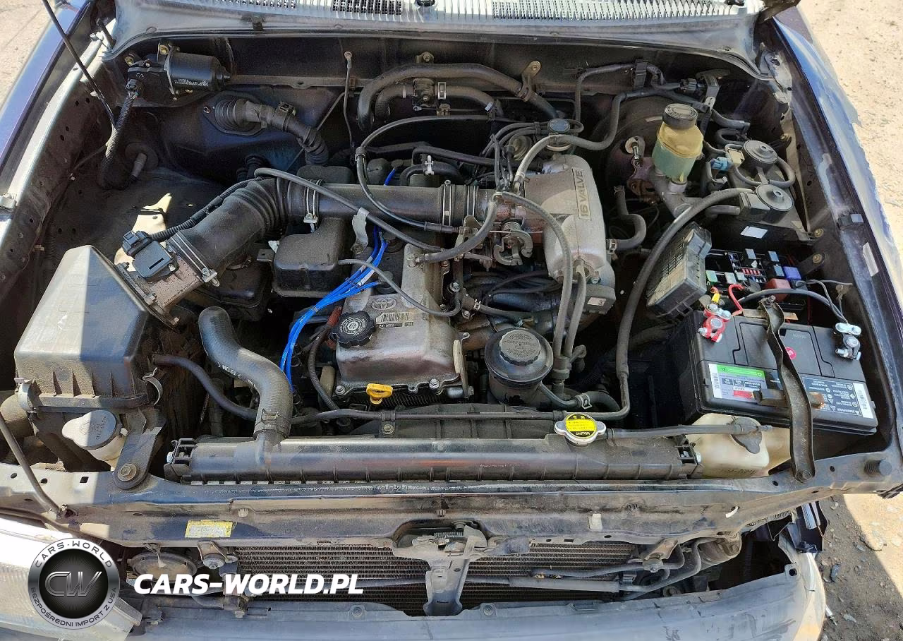 1998 Toyota Tacoma Base VIN:4TANL42N1WZ027592 - 11