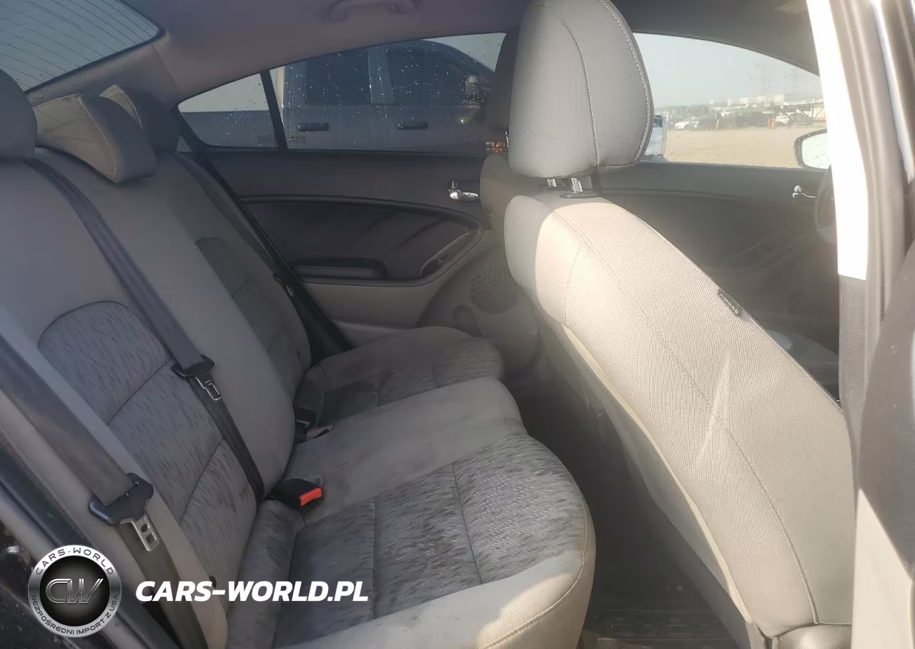 2015 Kia Forte Lx VIN:KNAFK4A61F5342760 - 10
