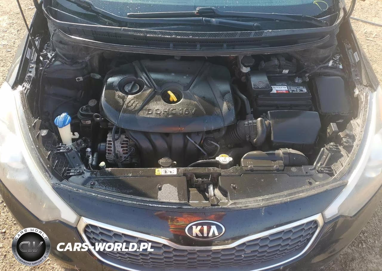 2015 Kia Forte Lx VIN:KNAFK4A61F5342760 - 11