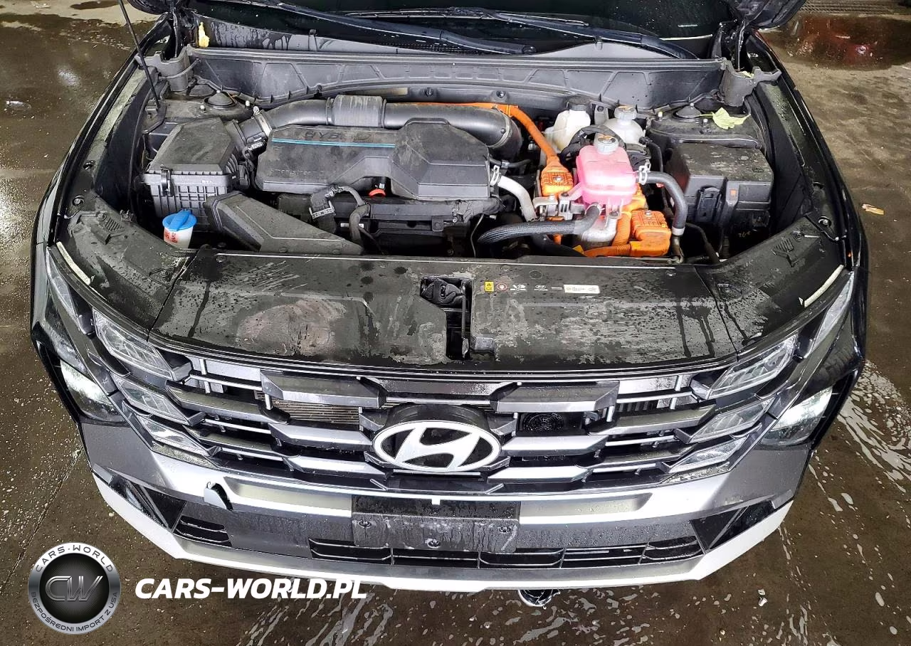 2025 Hyundai Tucson Sel Convenience VIN:KM8JCDD16SU338449 - 12