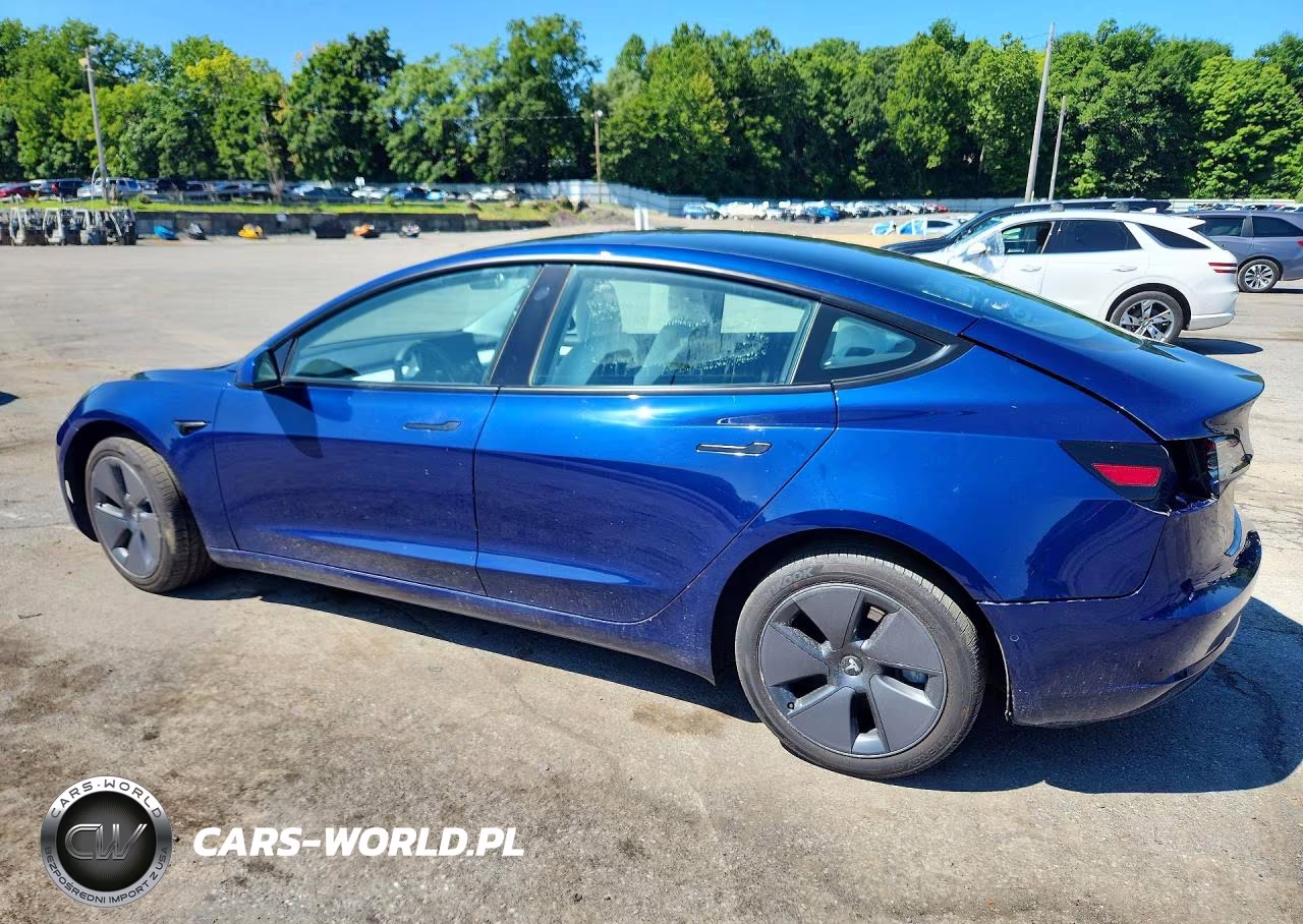 2022 Tesla Model 3 VIN:5YJ3E1EB4NF344664 - 2