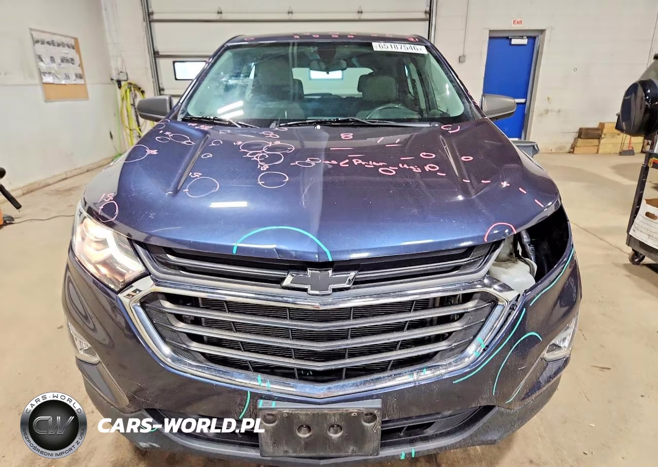 2019 Chevrolet Equinox Ls VIN:3GNAXHEV9KL209107 - 5