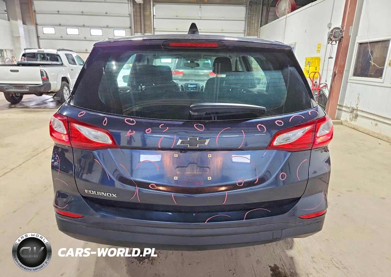 2019 Chevrolet Equinox Ls VIN:3GNAXHEV9KL209107 - 6