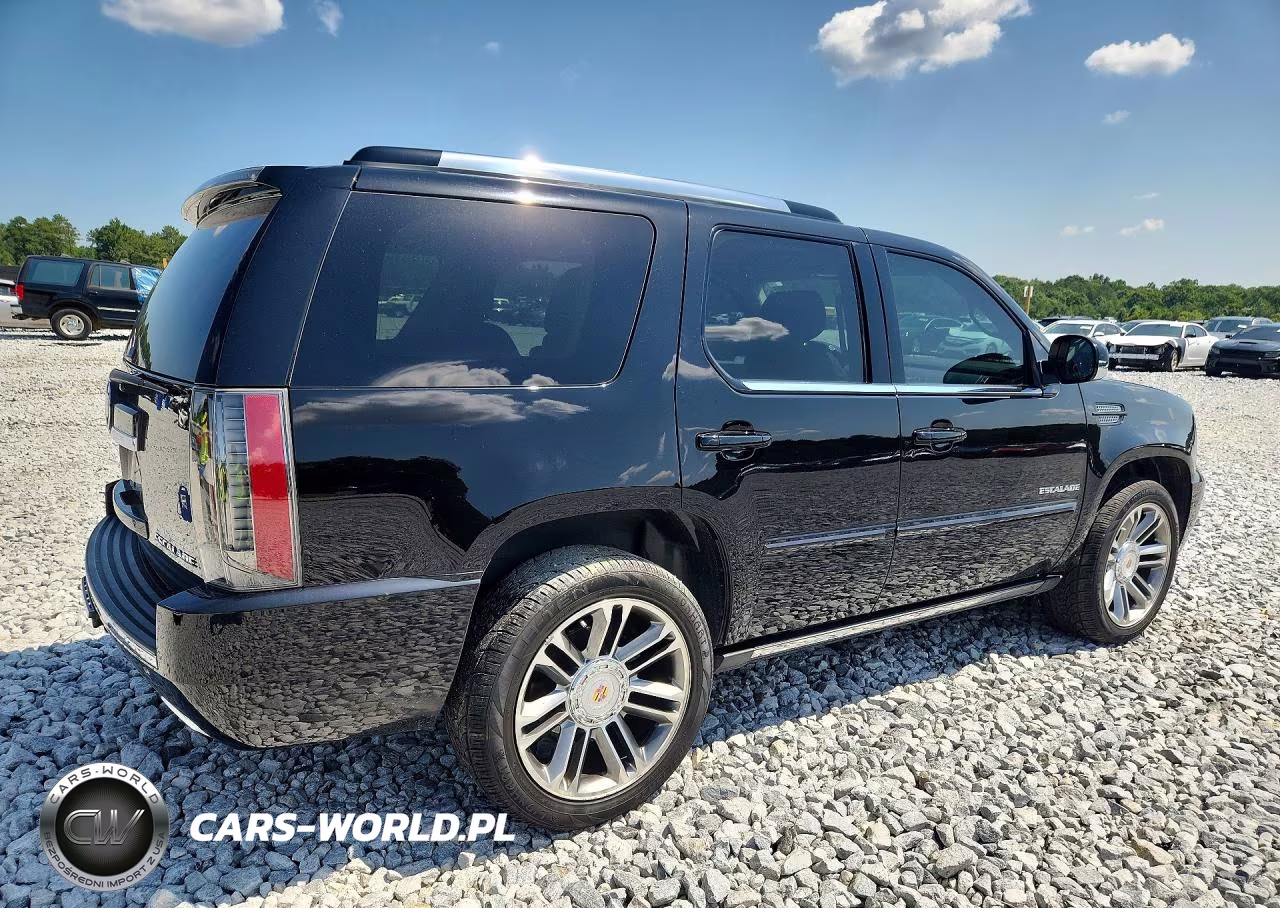 2013 Cadillac Escalade Premium VIN:1GYS4CEF6DR257459 - 3