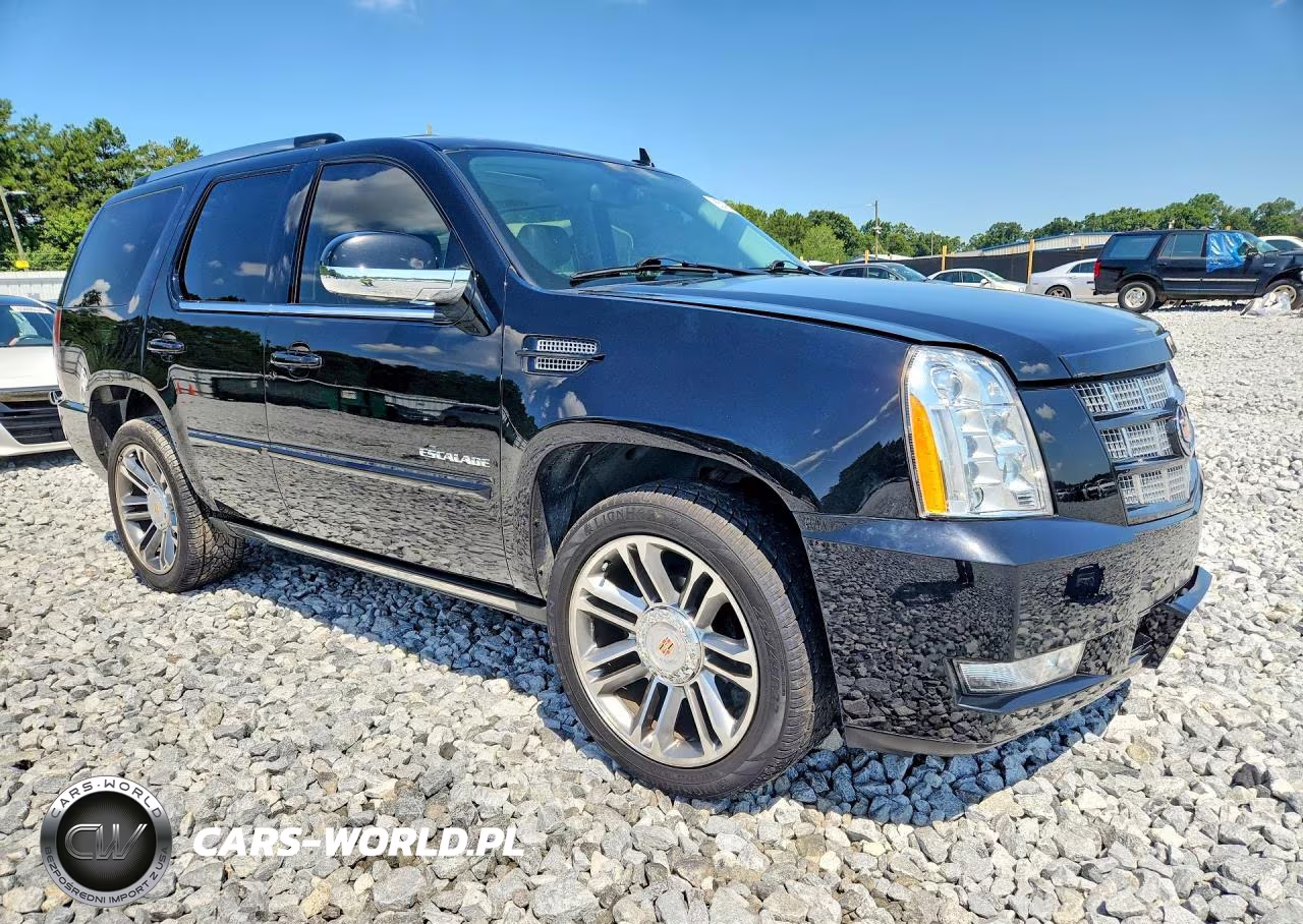 2013 Cadillac Escalade Premium VIN:1GYS4CEF6DR257459 - 4