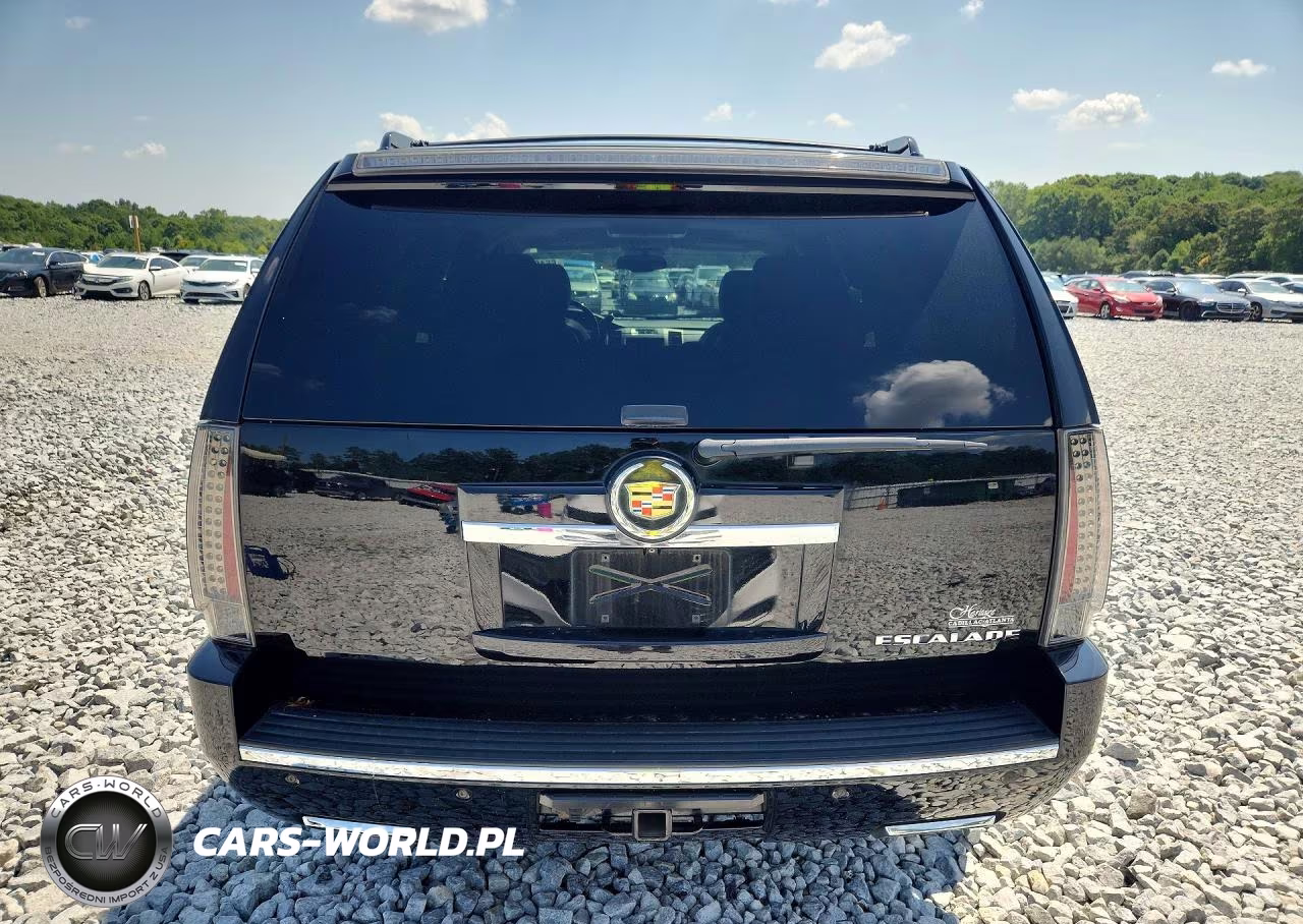 2013 Cadillac Escalade Premium VIN:1GYS4CEF6DR257459 - 6