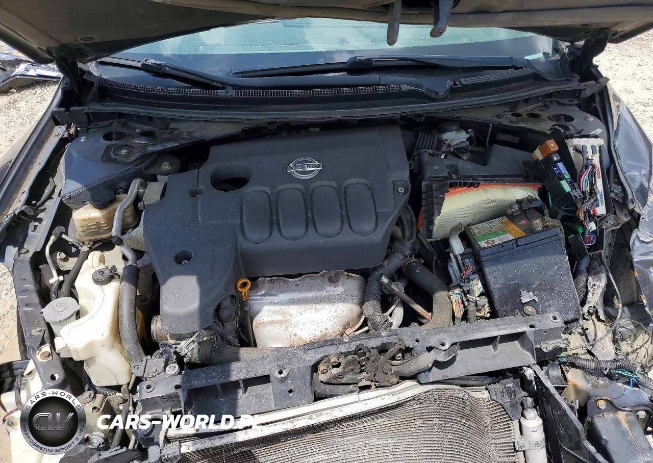2009 Nissan Altima 2.5 VIN:1N4AL21E69N556417 - 11