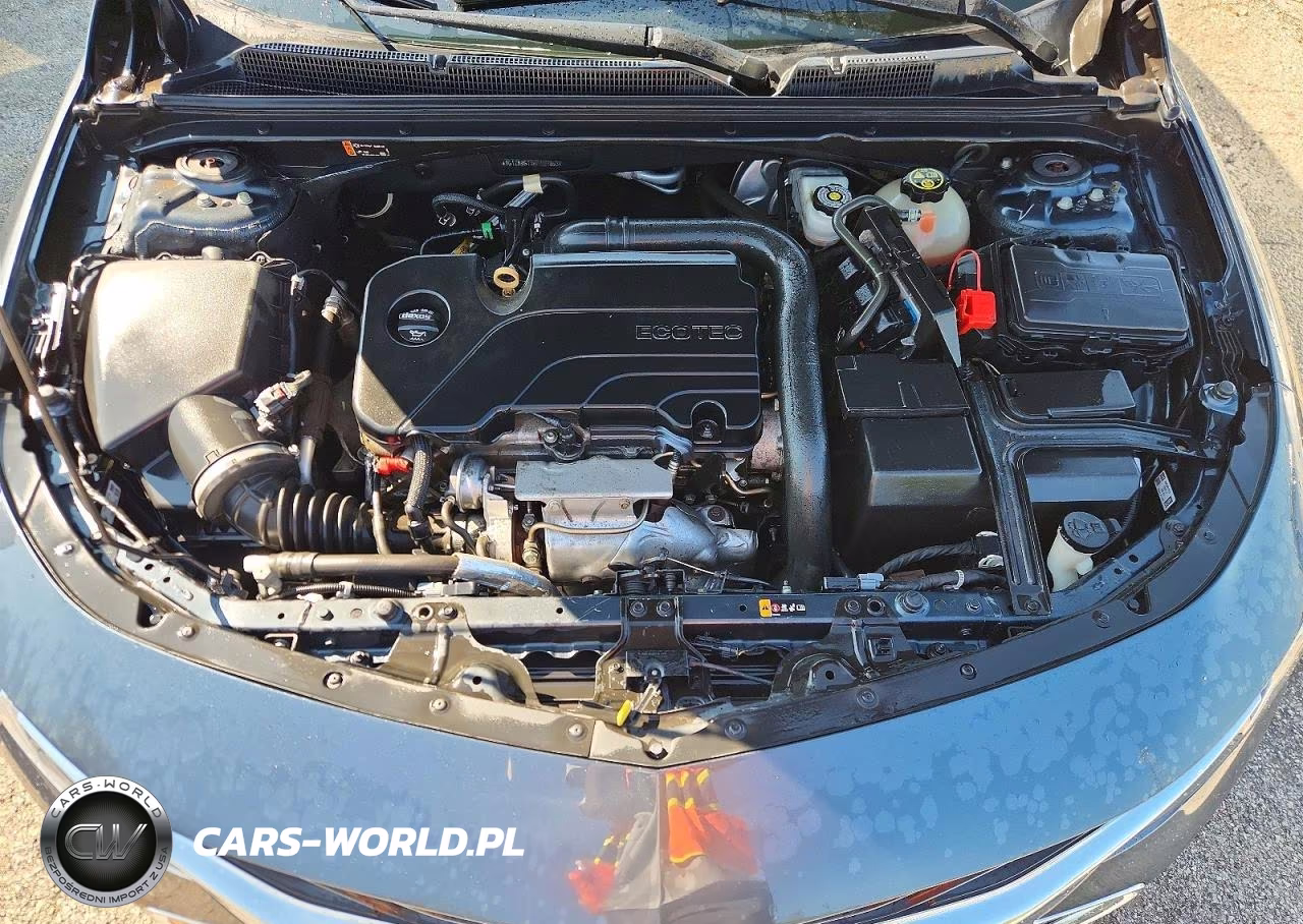 2019 Chevrolet Malibu Ls VIN:1G1ZB5STXKF129863 - 11