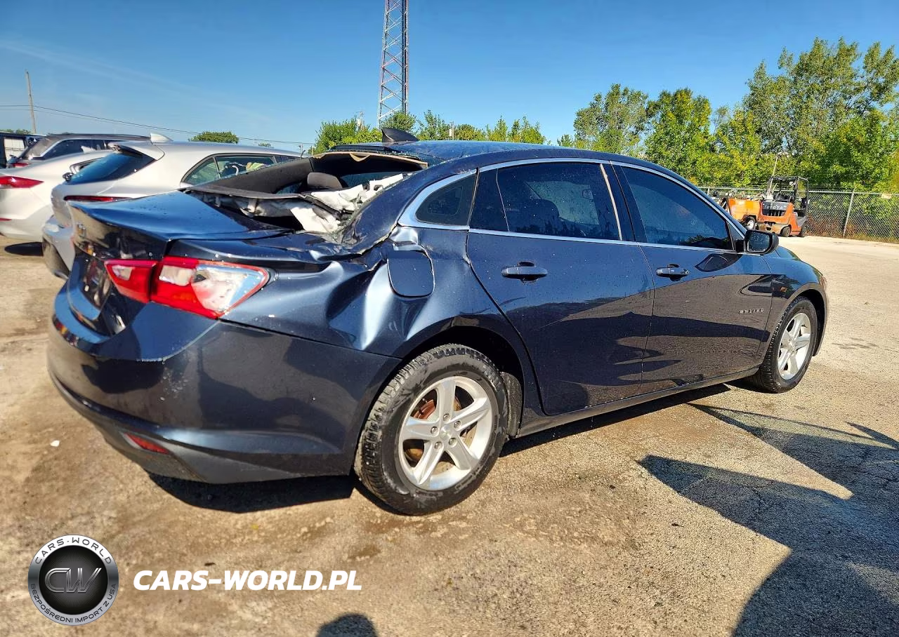 2019 Chevrolet Malibu Ls VIN:1G1ZB5STXKF129863 - 3