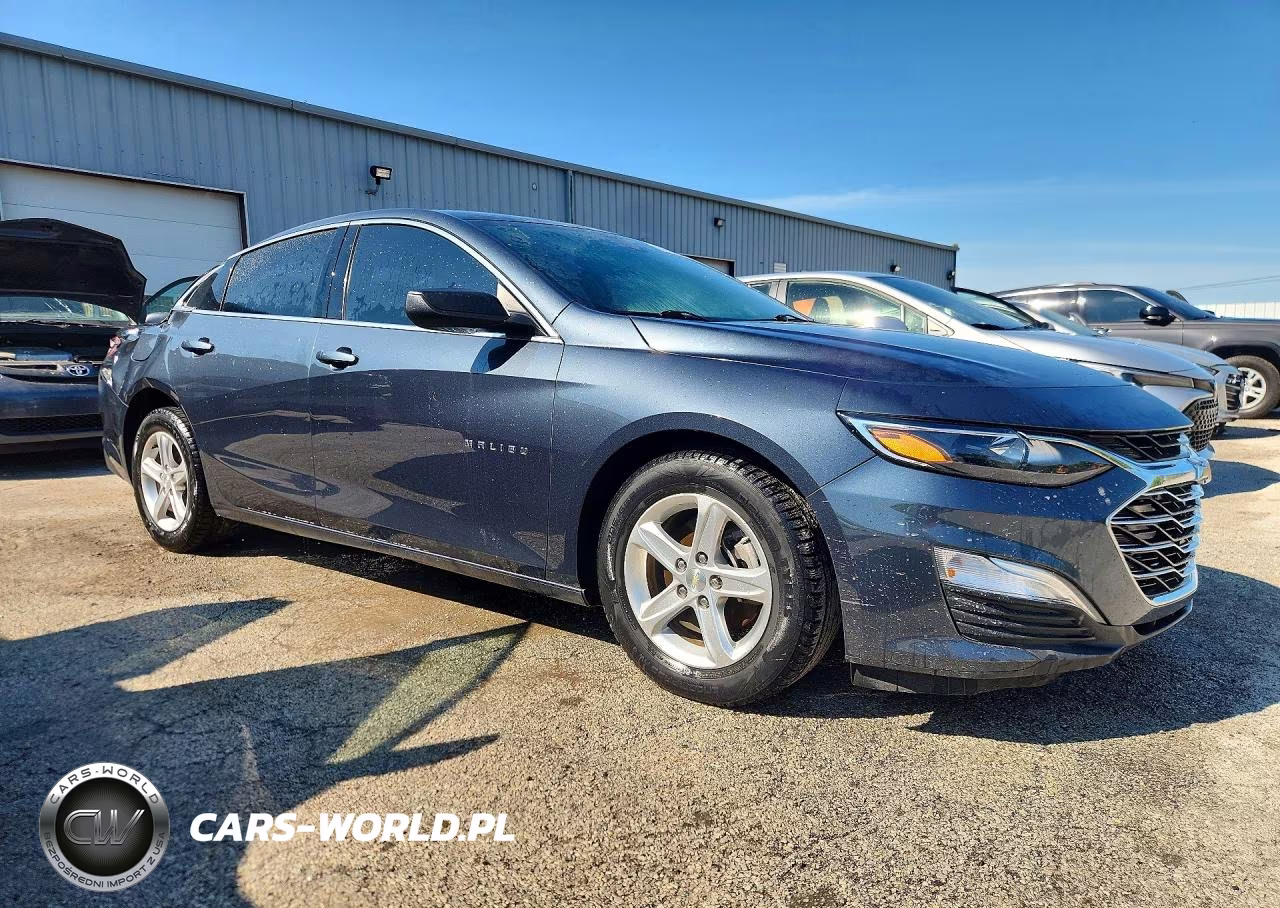 2019 Chevrolet Malibu Ls VIN:1G1ZB5STXKF129863 - 4