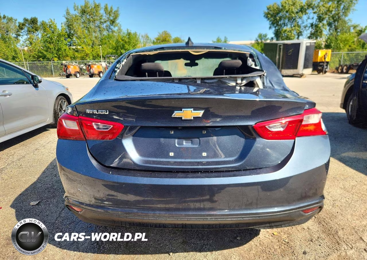 2019 Chevrolet Malibu Ls VIN:1G1ZB5STXKF129863 - 6