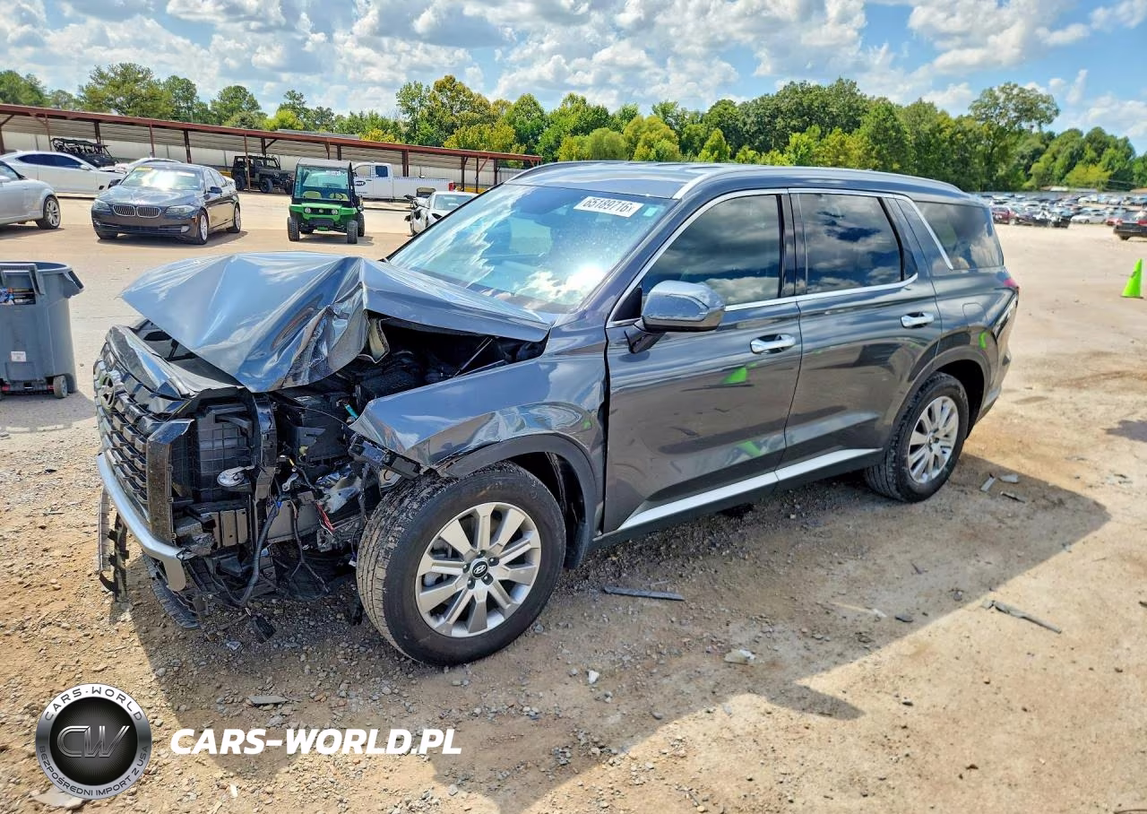 2025 Hyundai Palisade Sel VIN:KM8R24GE4SU937628 - 1