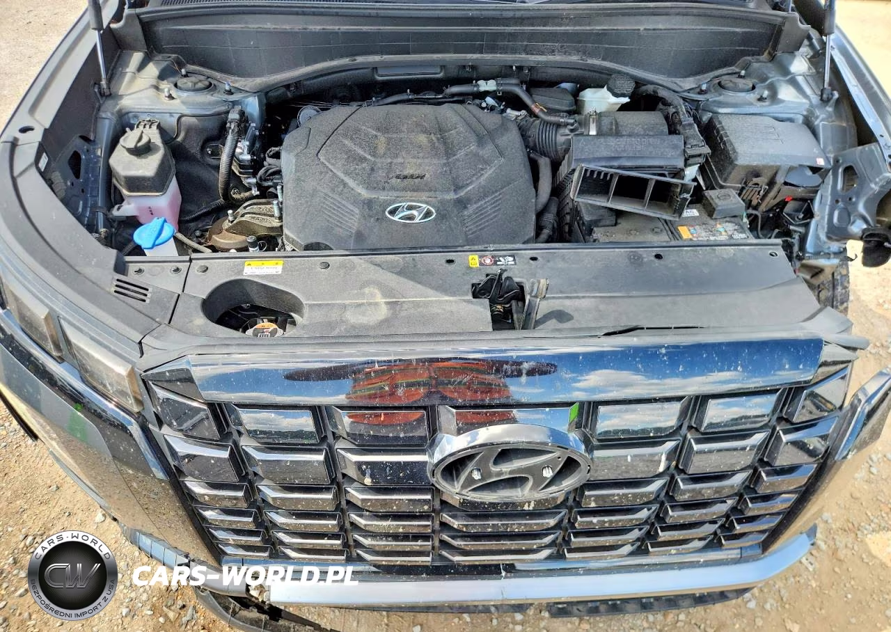 2025 Hyundai Palisade Sel VIN:KM8R24GE4SU937628 - 12