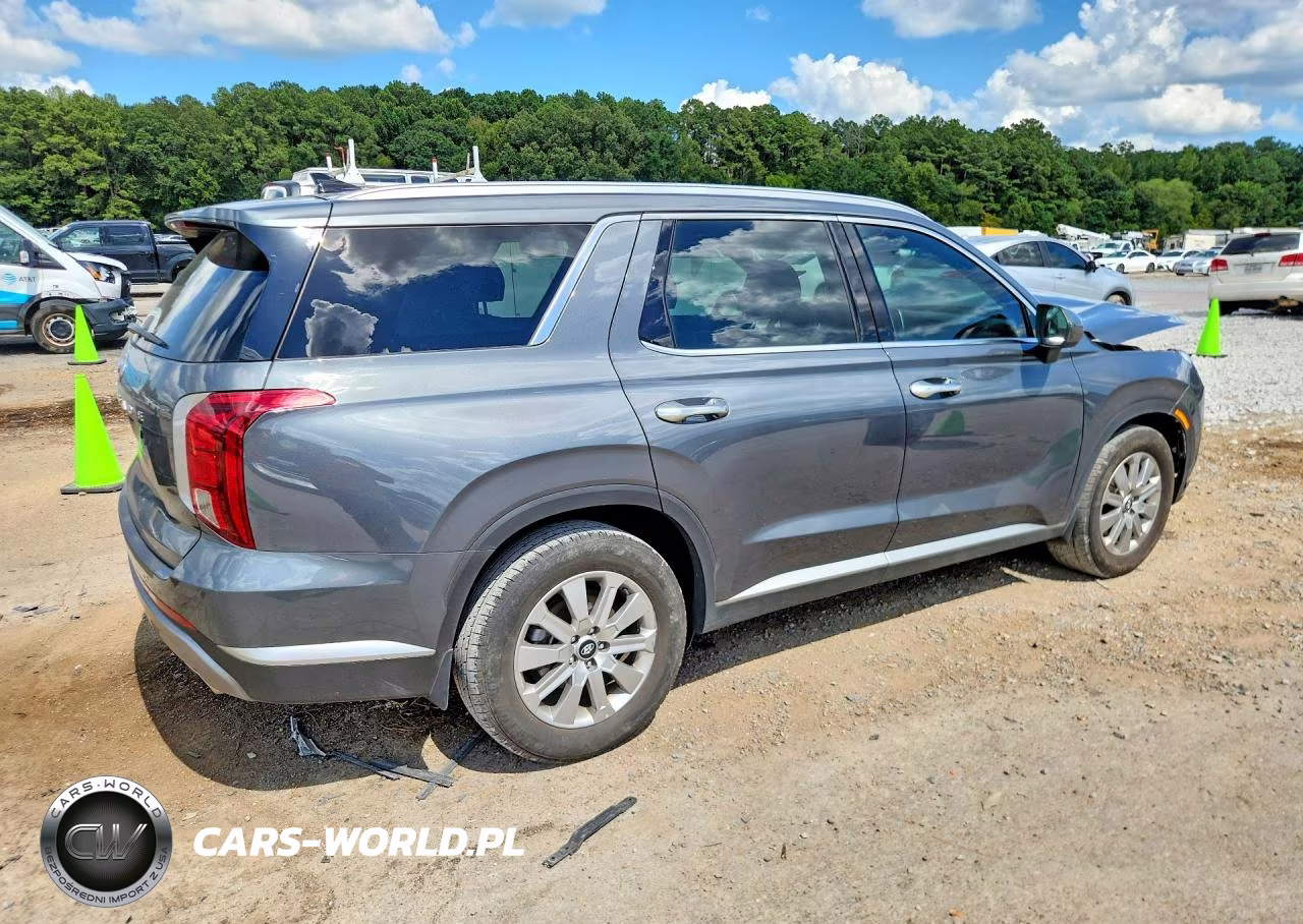 2025 Hyundai Palisade Sel VIN:KM8R24GE4SU937628 - 3