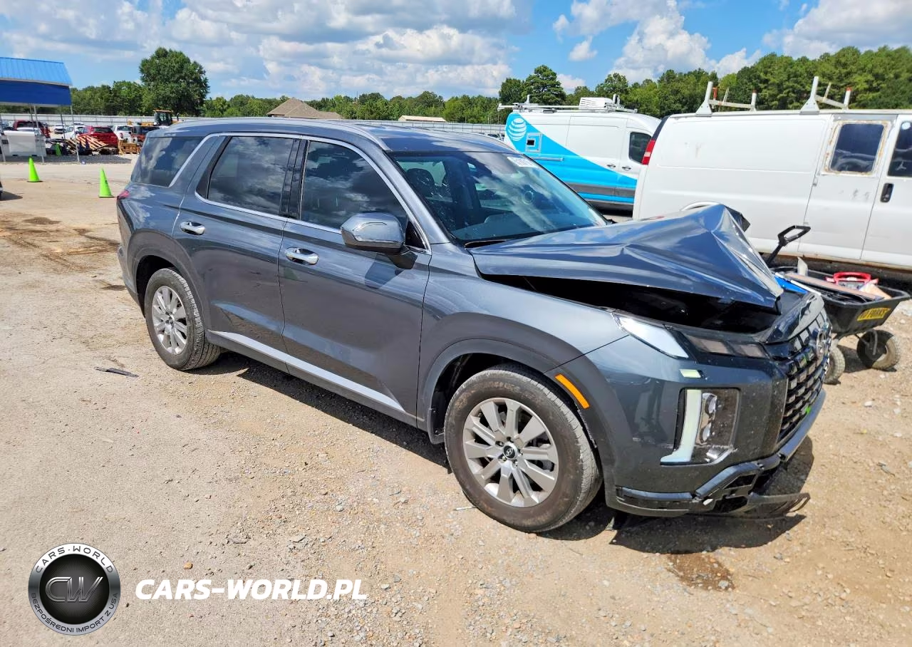 2025 Hyundai Palisade Sel VIN:KM8R24GE4SU937628 - 4